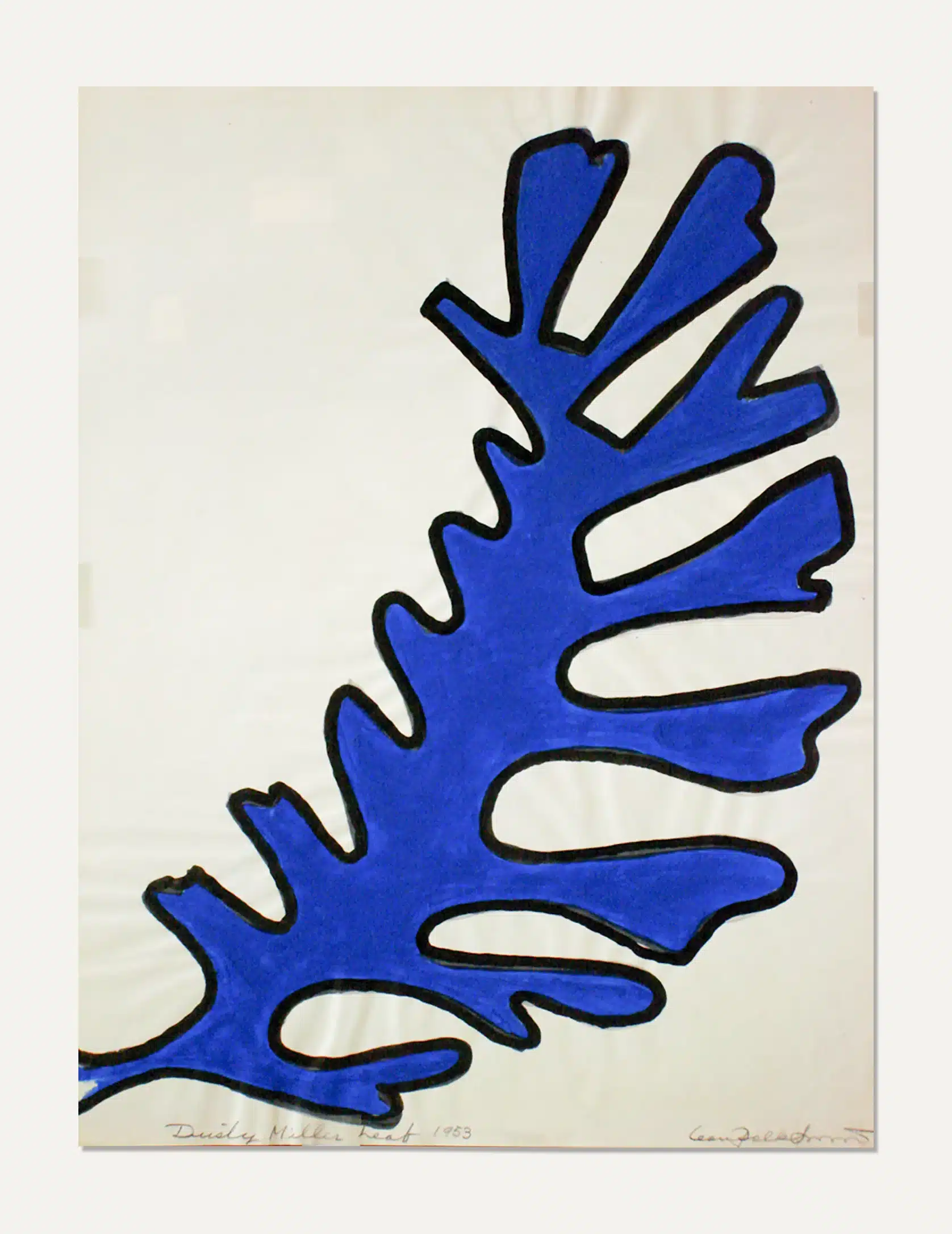 Dusty Miller Leaf 1953, 1953. Paint (may be tempera) on paper (watermarked - "mead Dupi t"), sheet size: 18 x 14 in.
